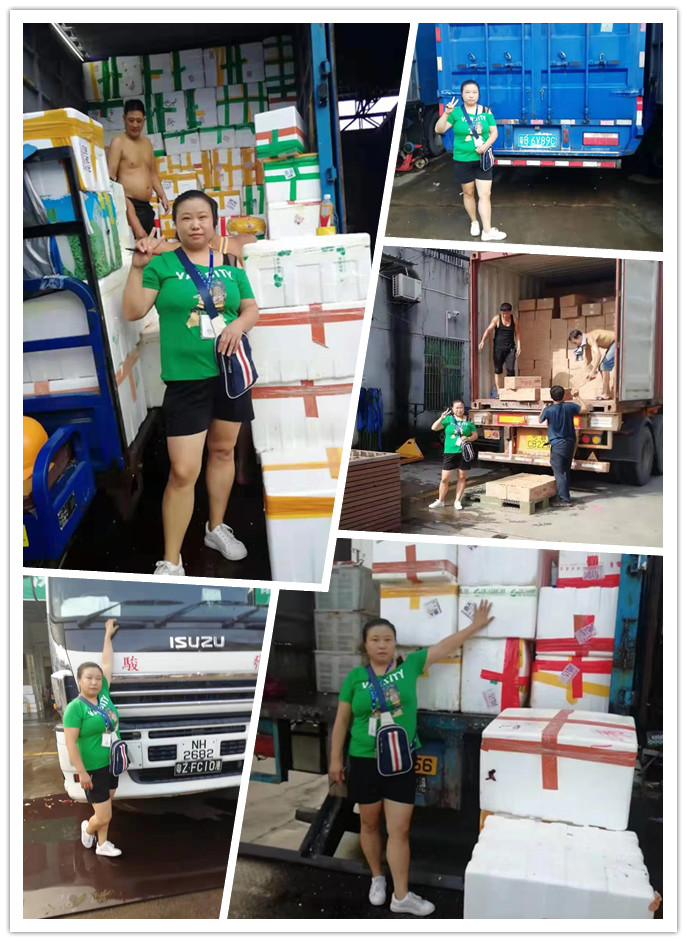 Z6���������ǲ�(�й���)���޹�˾����