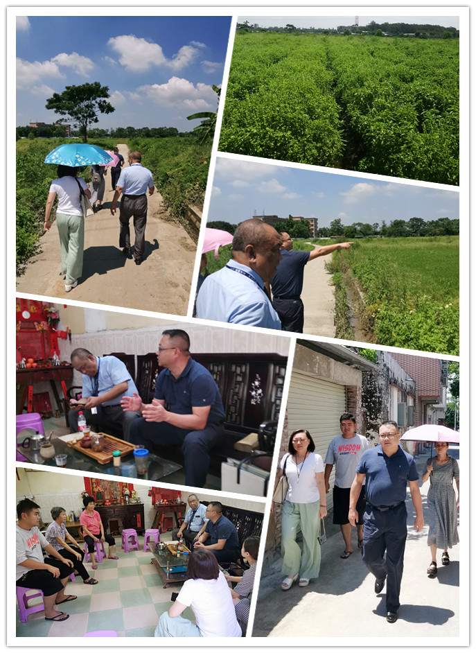 Z6���������ǲ�(�й���)���޹�˾����