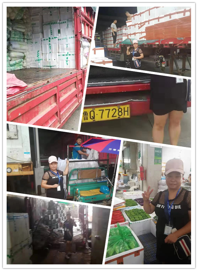 Z6���������ǲ�(�й���)���޹�˾����