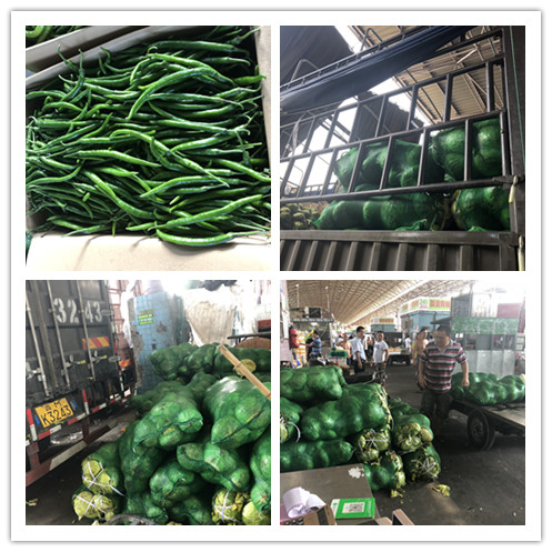 Z6���������ǲ�(�й���)���޹�˾����