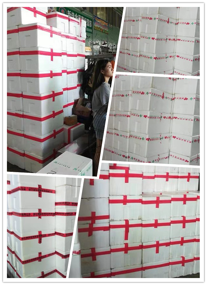 Z6���������ǲ�(�й���)���޹�˾����