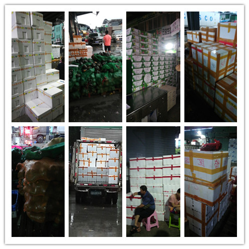 Z6���������ǲ�(�й���)���޹�˾����