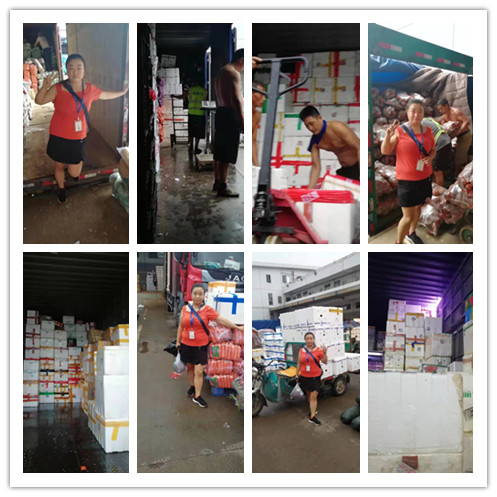 Z6���������ǲ�(�й���)���޹�˾����