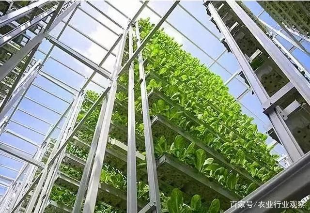 Z6���������ǲ�(�й���)���޹�˾����