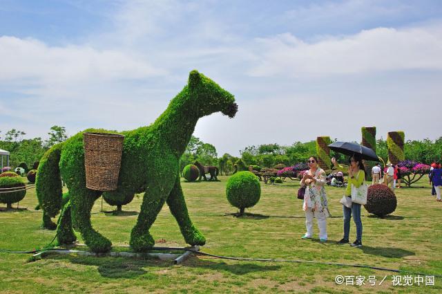 Z6���������ǲ�(�й���)���޹�˾����