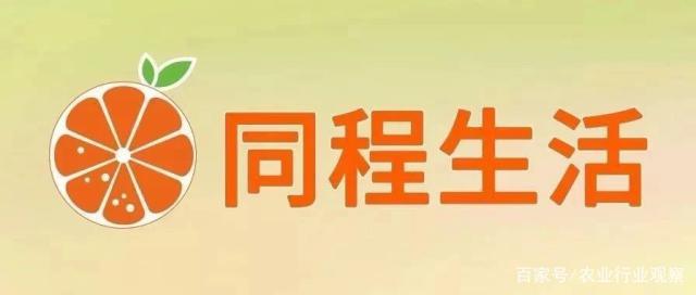 Z6���������ǲ�(�й���)���޹�˾����