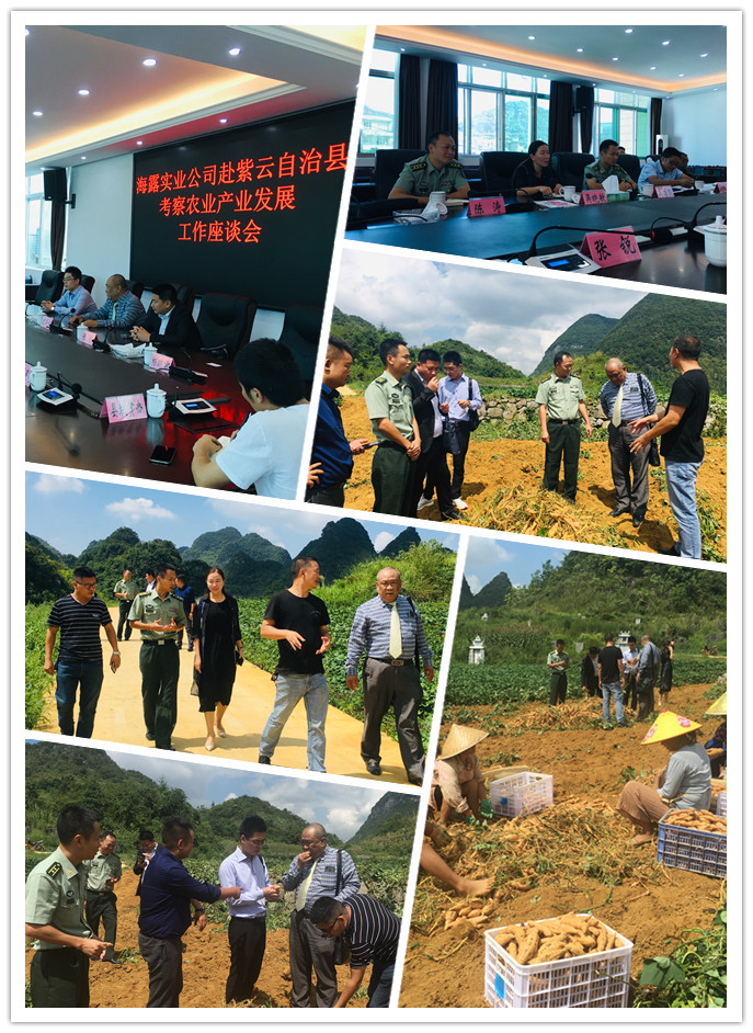 1-1ZZ41IUKL Z6¡¤ÈËÉú¾ÍÊDz©(ÖйúÇø)ÓÐÏÞ¹«Ë¾¹ÙÍø