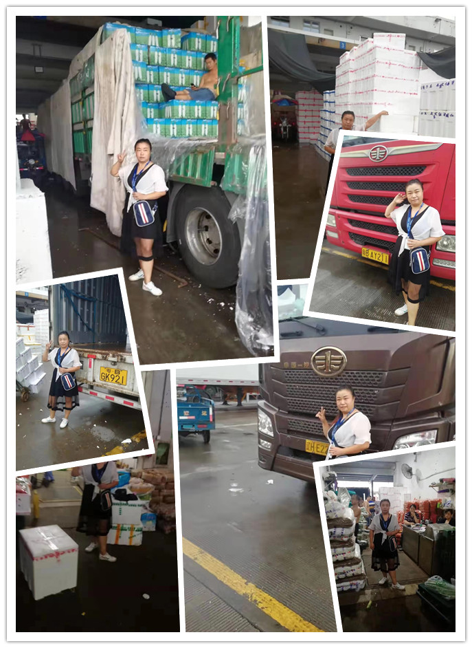 Z6���������ǲ�(�й���)���޹�˾����