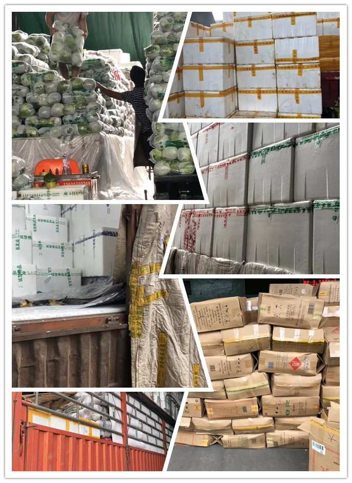 Z6���������ǲ�(�й���)���޹�˾����