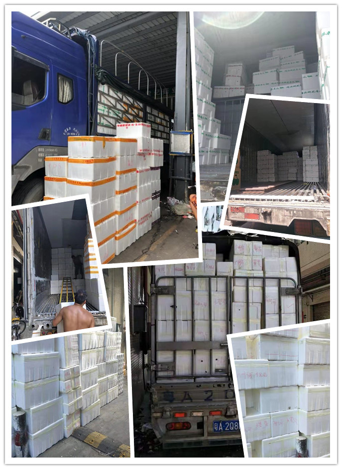 Z6���������ǲ�(�й���)���޹�˾����