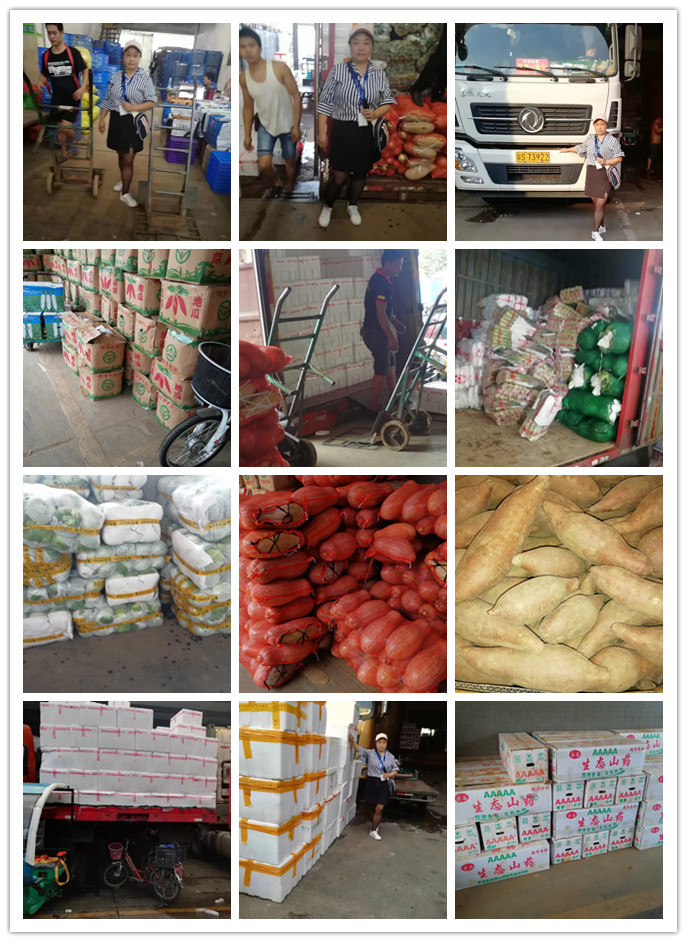 Z6���������ǲ�(�й���)���޹�˾����