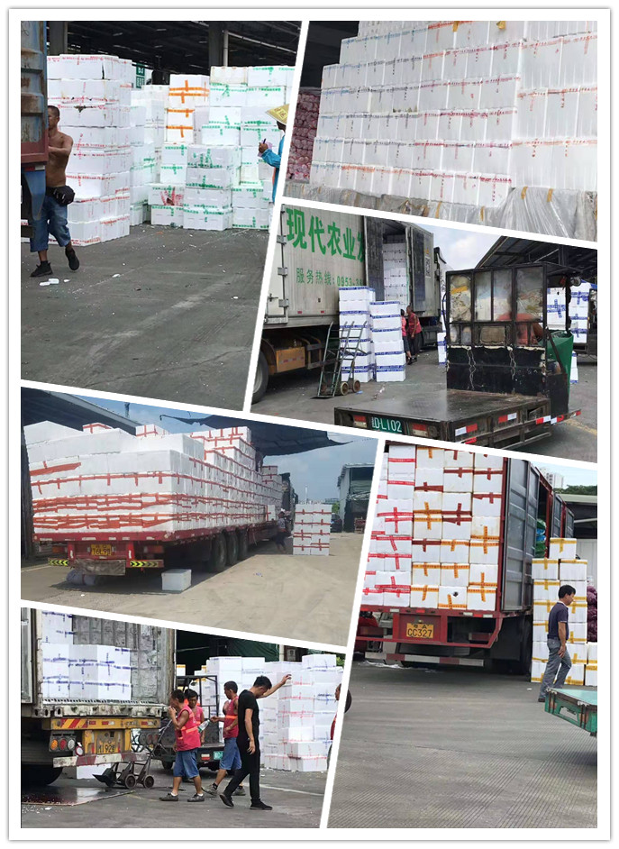 Z6���������ǲ�(�й���)���޹�˾����