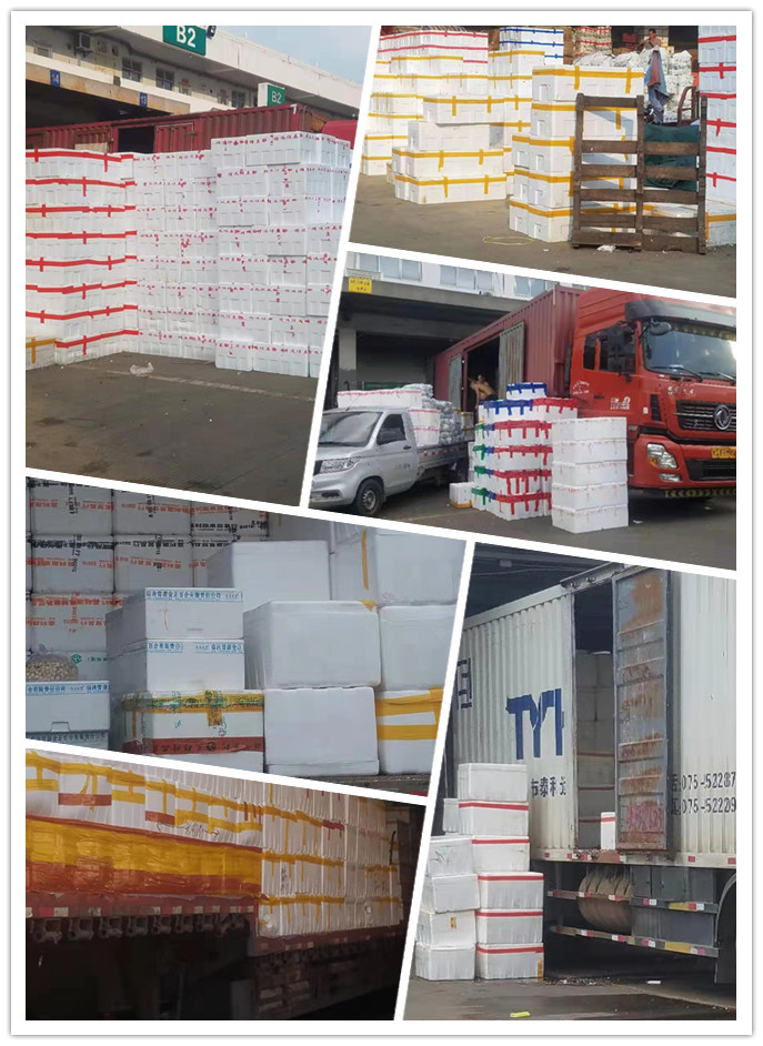 Z6���������ǲ�(�й���)���޹�˾����