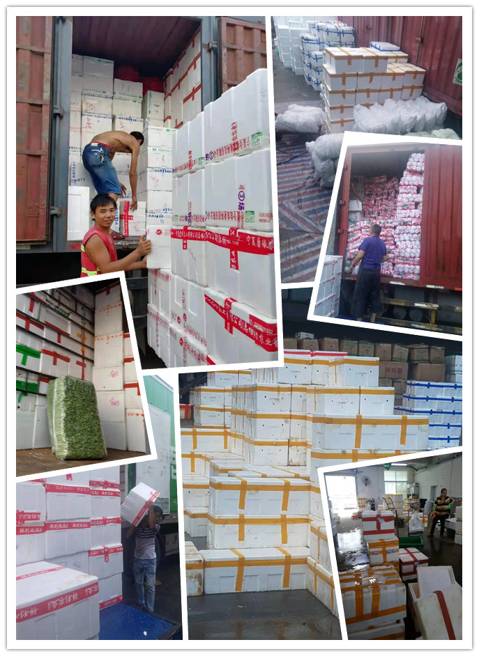 Z6���������ǲ�(�й���)���޹�˾����