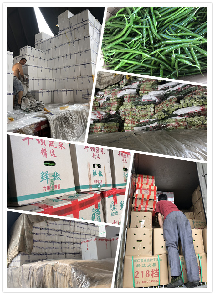 Z6���������ǲ�(�й���)���޹�˾����