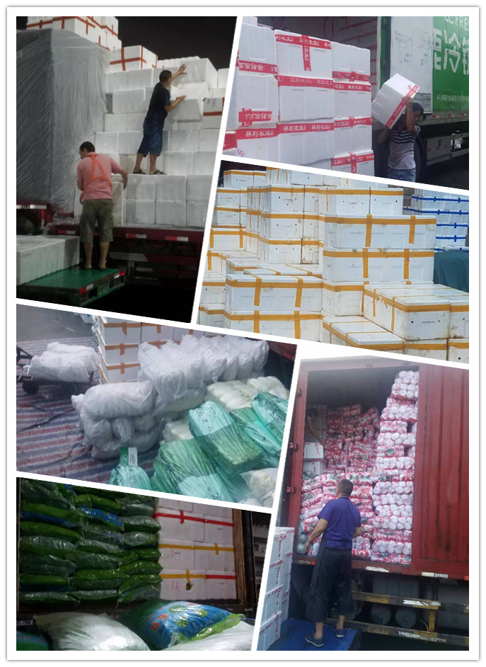 Z6���������ǲ�(�й���)���޹�˾����