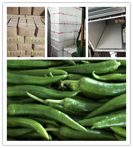 Z6���������ǲ�(�й���)���޹�˾����