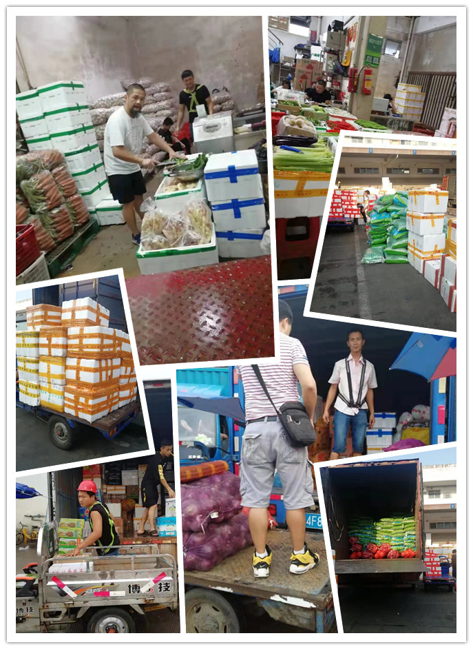 Z6���������ǲ�(�й���)���޹�˾����