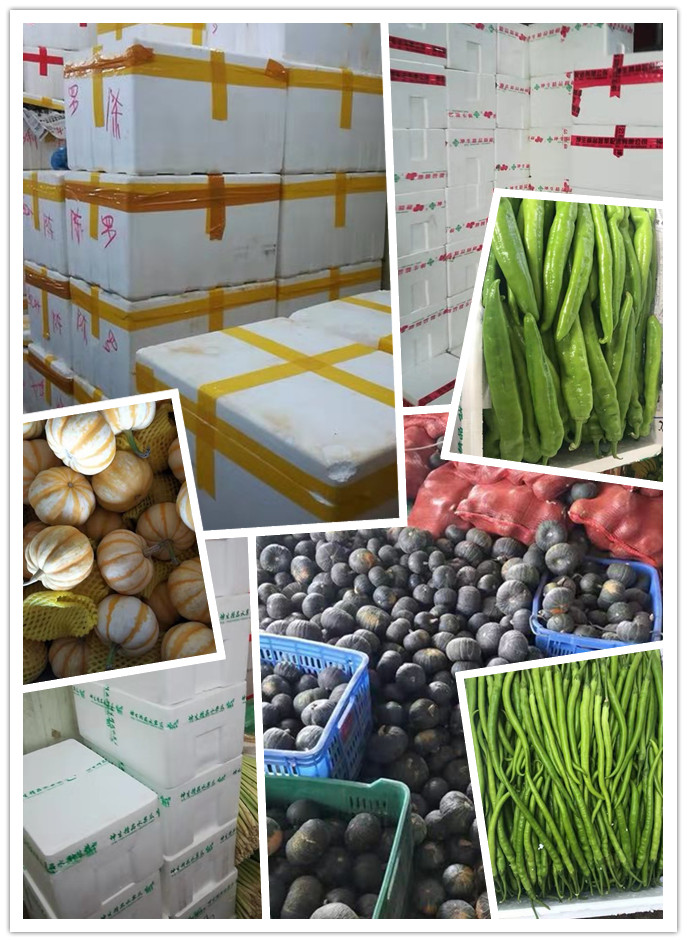 Z6���������ǲ�(�й���)���޹�˾����