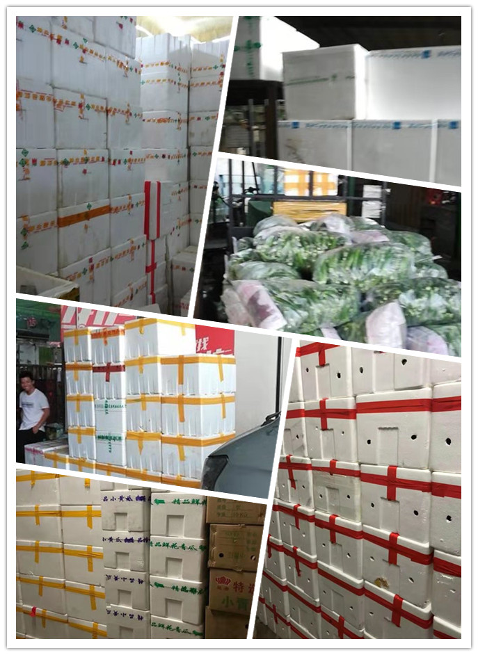 Z6���������ǲ�(�й���)���޹�˾����