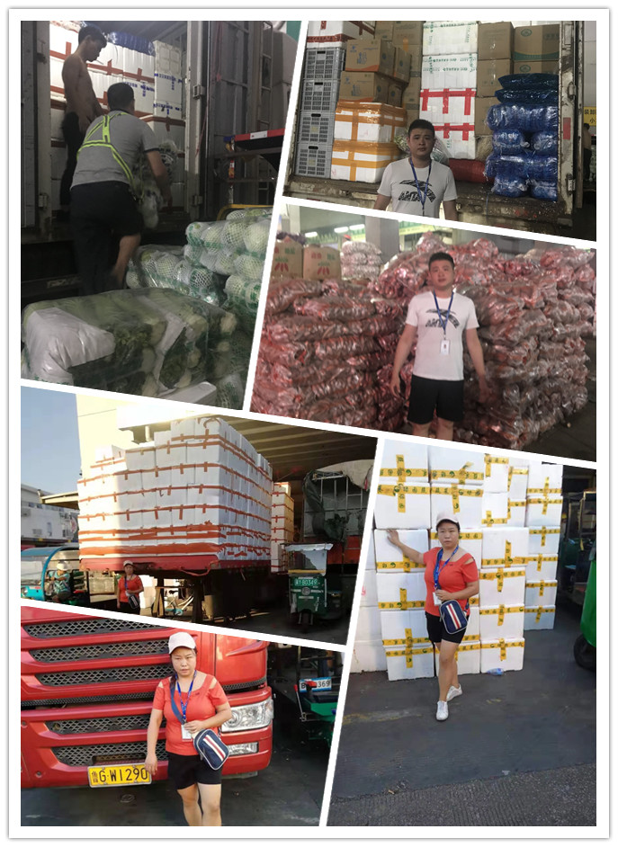 Z6���������ǲ�(�й���)���޹�˾����