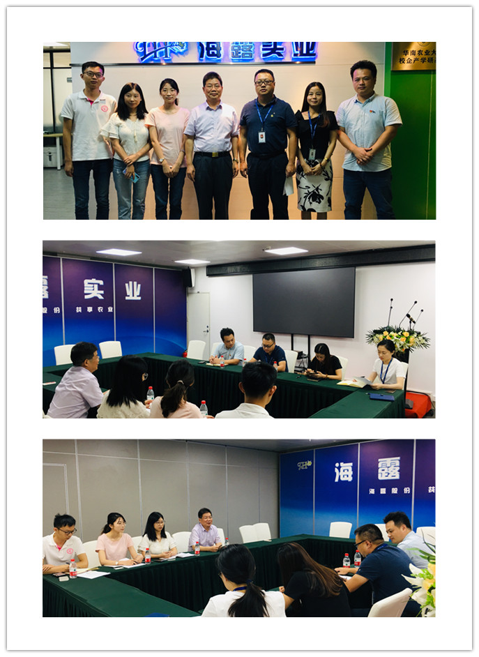 Z6���������ǲ�(�й���)���޹�˾����