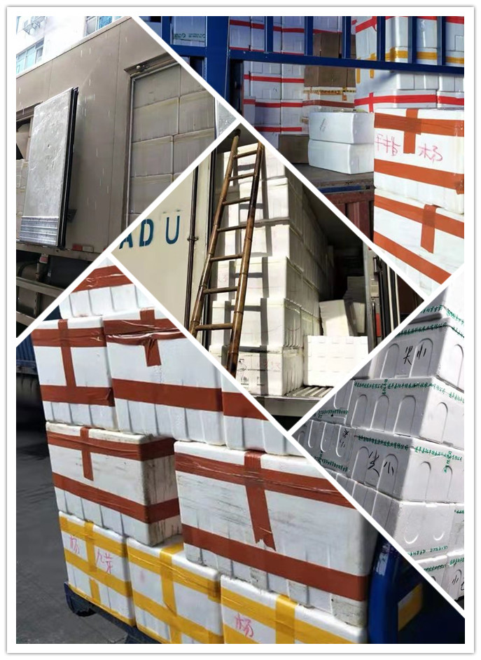 Z6���������ǲ�(�й���)���޹�˾����