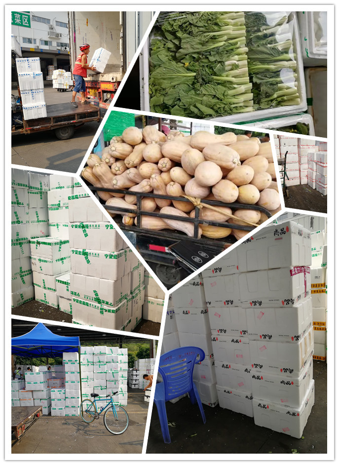 Z6���������ǲ�(�й���)���޹�˾����