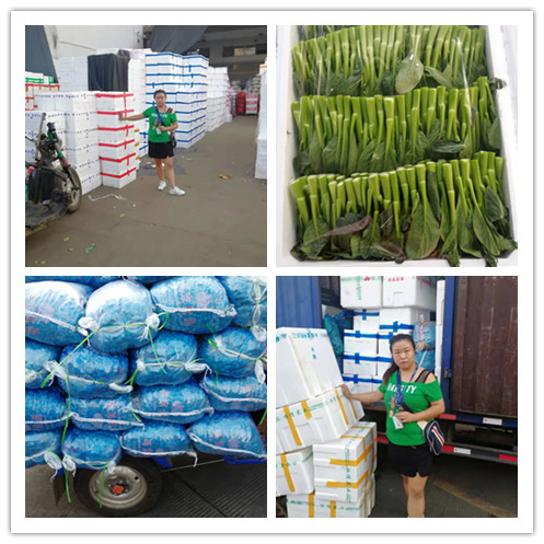 Z6���������ǲ�(�й���)���޹�˾����