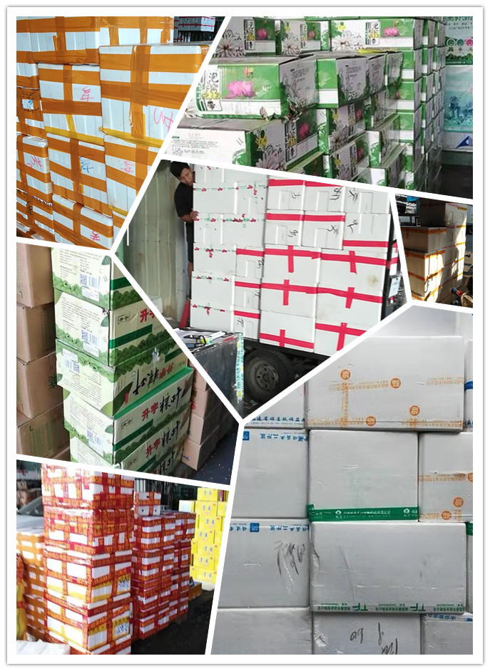 Z6���������ǲ�(�й���)���޹�˾����