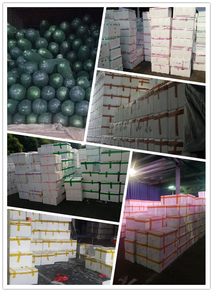 Z6���������ǲ�(�й���)���޹�˾����