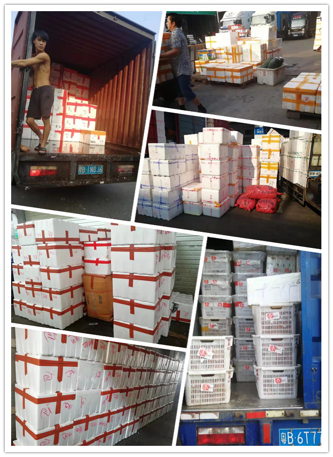 Z6���������ǲ�(�й���)���޹�˾����