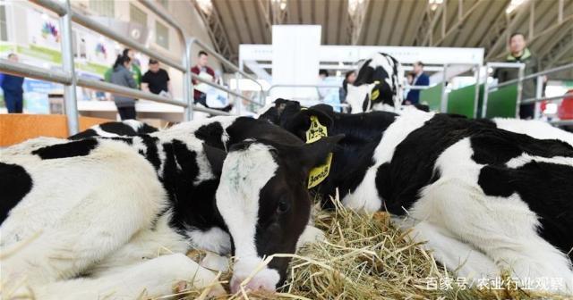 Z6���������ǲ�(�й���)���޹�˾����