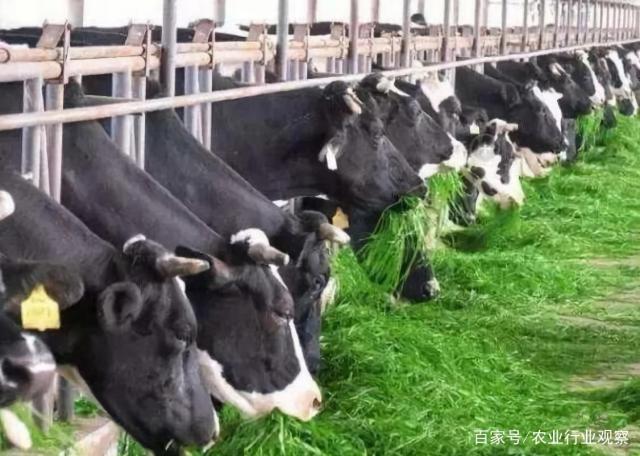 Z6���������ǲ�(�й���)���޹�˾����