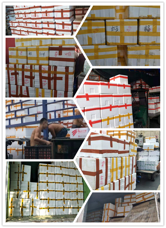 Z6���������ǲ�(�й���)���޹�˾����