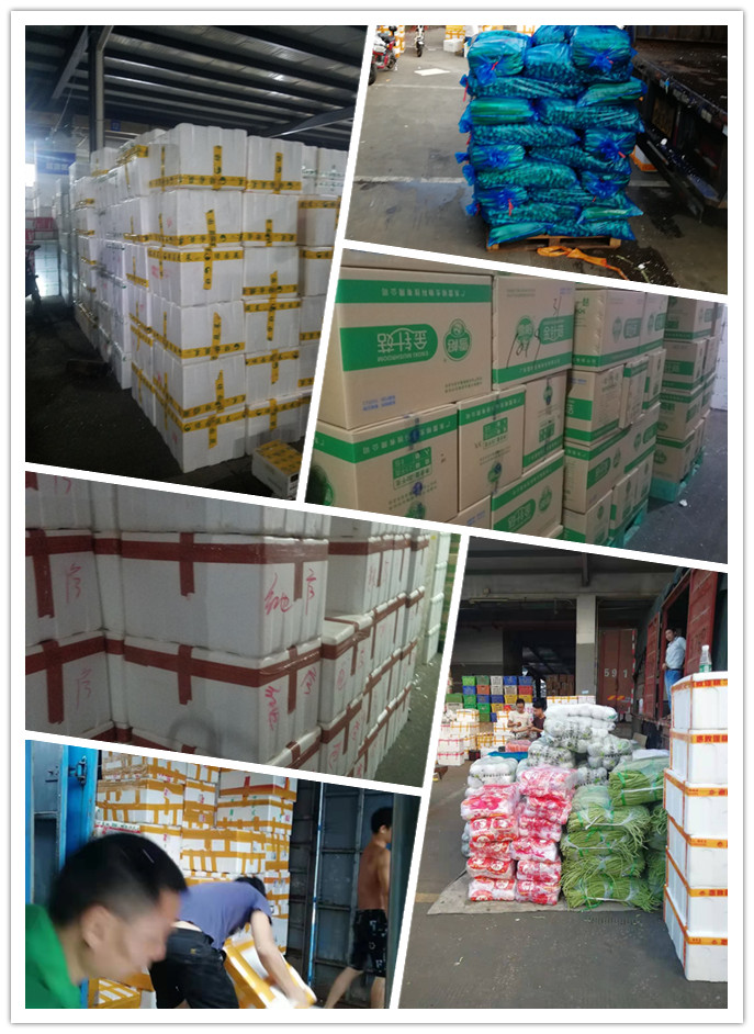 Z6���������ǲ�(�й���)���޹�˾����