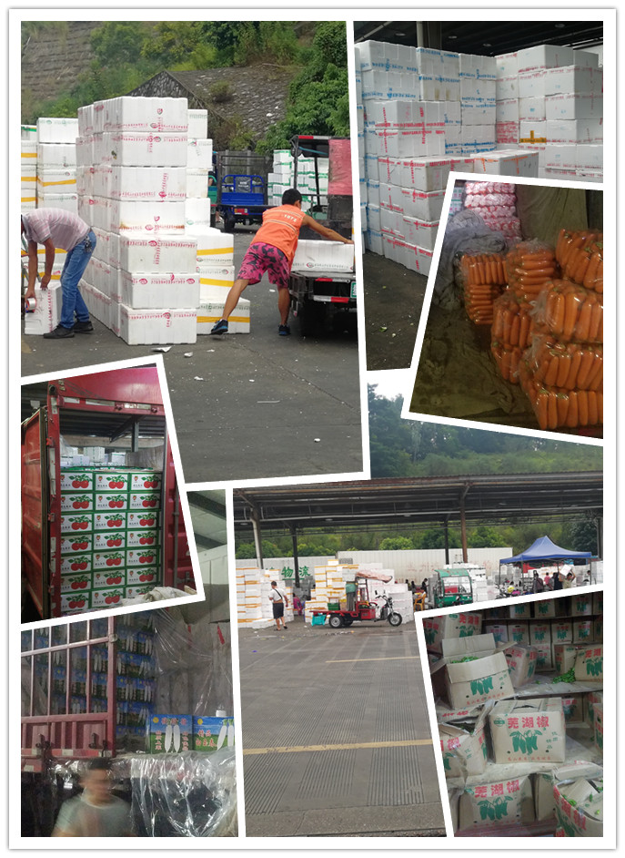 Z6���������ǲ�(�й���)���޹�˾����