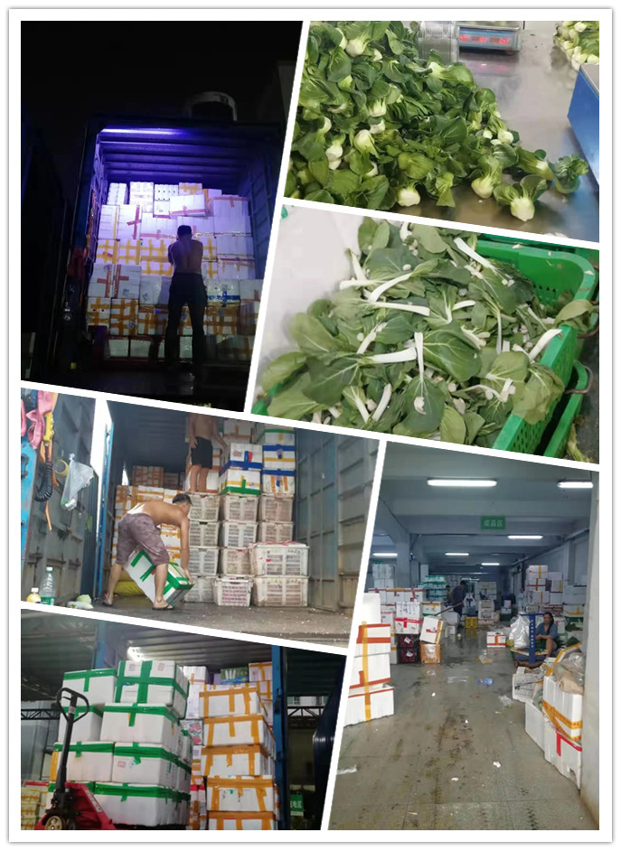 Z6���������ǲ�(�й���)���޹�˾����