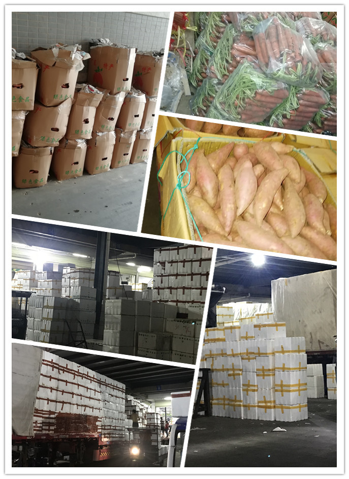 Z6���������ǲ�(�й���)���޹�˾����