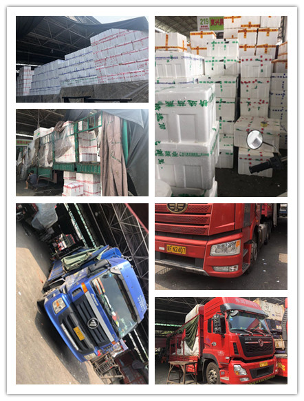 Z6���������ǲ�(�й���)���޹�˾����