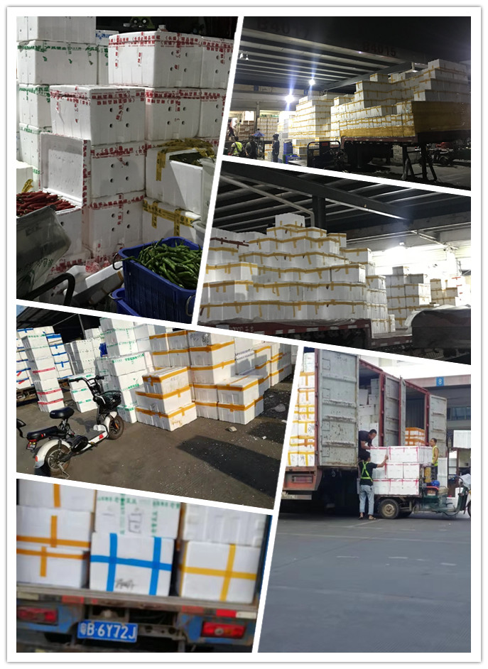 Z6���������ǲ�(�й���)���޹�˾����