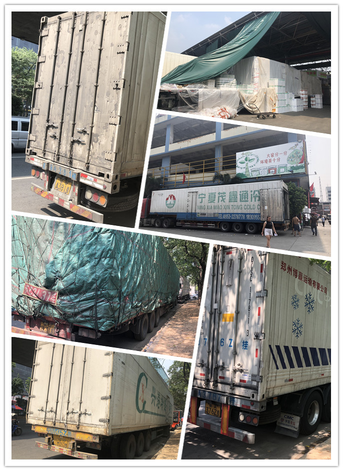 Z6���������ǲ�(�й���)���޹�˾����