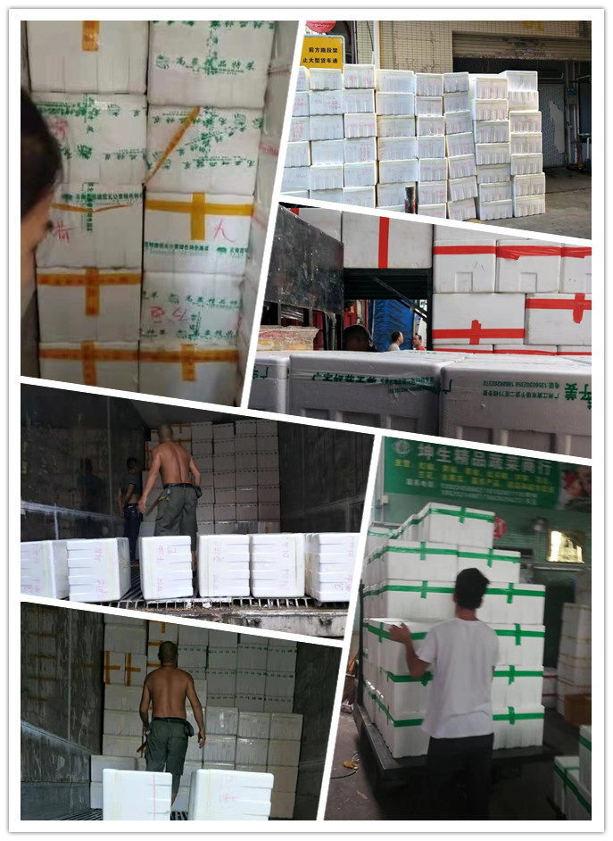 Z6���������ǲ�(�й���)���޹�˾����