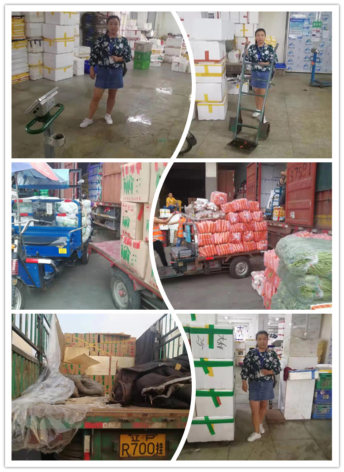 Z6���������ǲ�(�й���)���޹�˾����