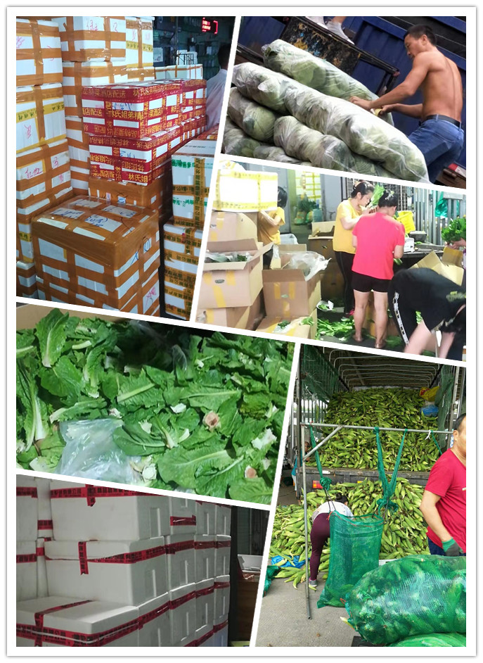 Z6���������ǲ�(�й���)���޹�˾����