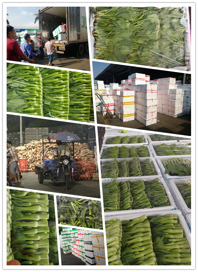 Z6���������ǲ�(�й���)���޹�˾����