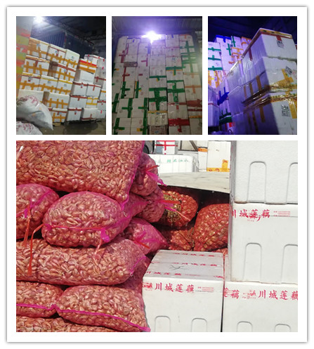 Z6���������ǲ�(�й���)���޹�˾����