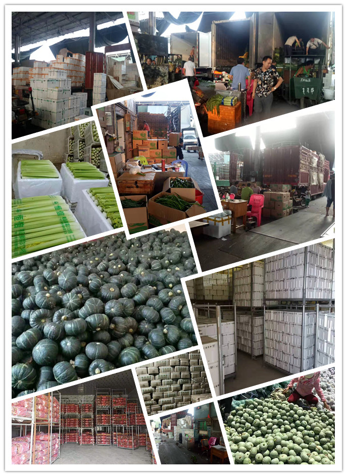 Z6���������ǲ�(�й���)���޹�˾����