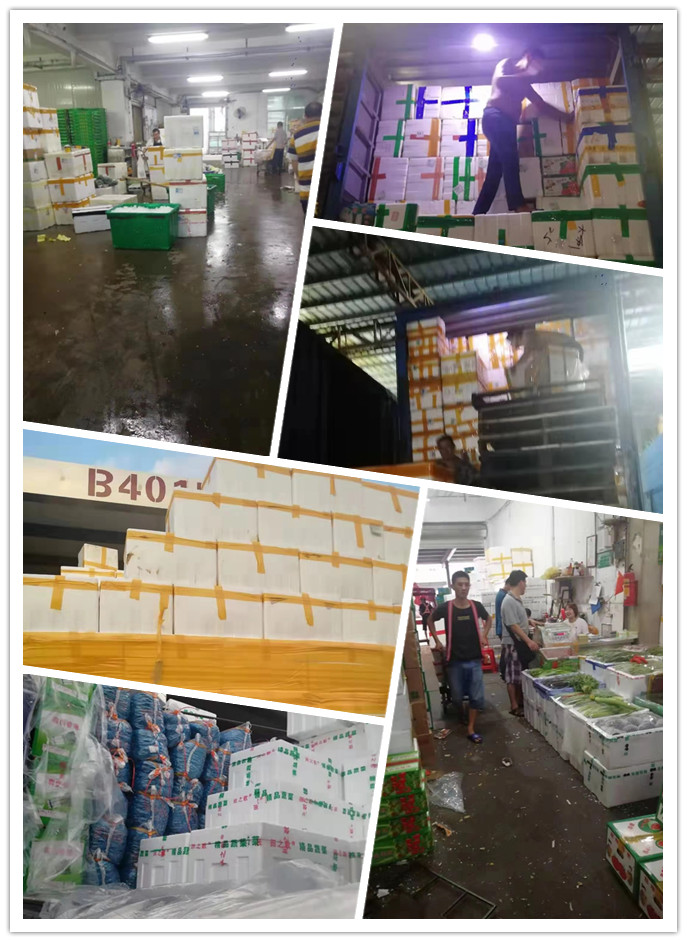 Z6���������ǲ�(�й���)���޹�˾����