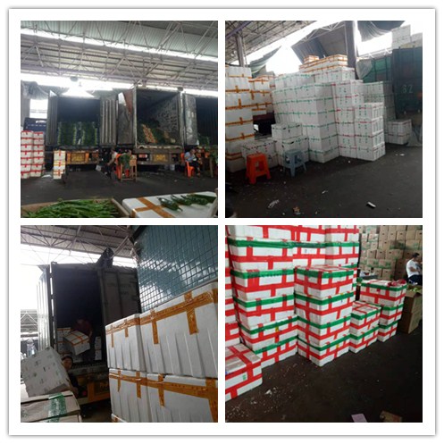 Z6���������ǲ�(�й���)���޹�˾����